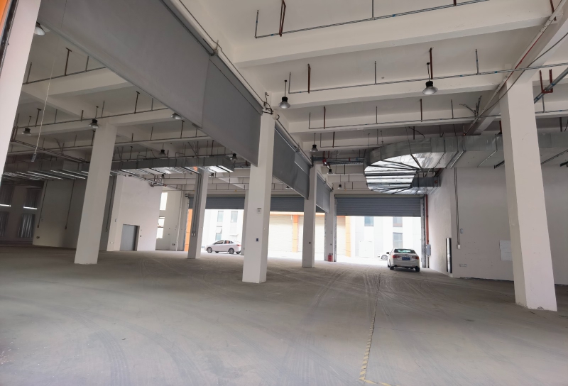 青白江智慧大道旁獨棟/單層廠房