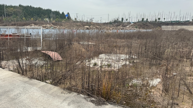 江油市龍風鎮工業用地出售,已報規報建,證件齊全,50年產權