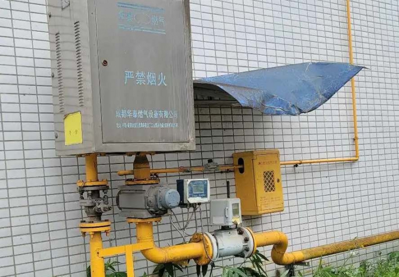 (出租) 出租蒲江標準廠房 通蒸汽水電氣，有環(huán)評，可整租可分租，可開票