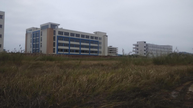 東莞市橋頭鎮(zhèn)92000平方米工業(yè)用地出售