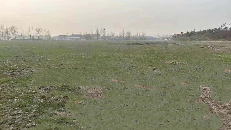 惠州市博羅縣龍華鎮15000平方紅本工業地皮出租