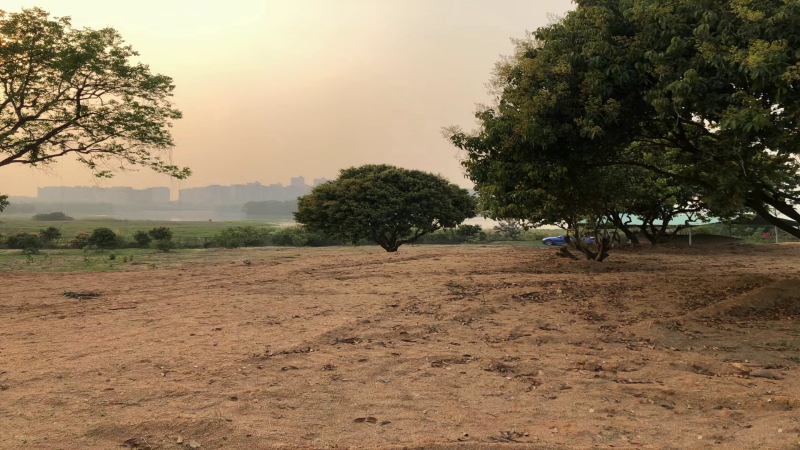 惠州市博羅縣龍華鎮15000平方紅本工業地皮出租