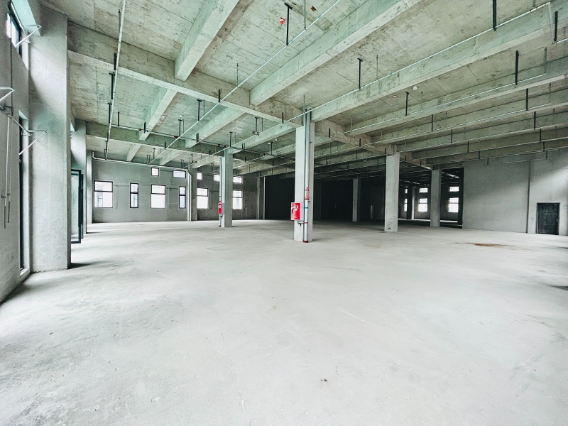 現房廠房出租，可辦公生產研發，可環評可工業上樓