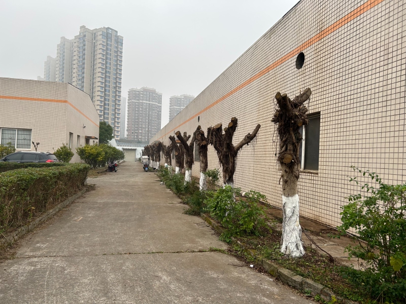 標(biāo)準(zhǔn)鋼結(jié)構(gòu)和磚混廠房（或庫房）出租