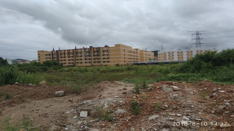 佛山市小欖鎮12000平方單層雙月臺倉庫出租