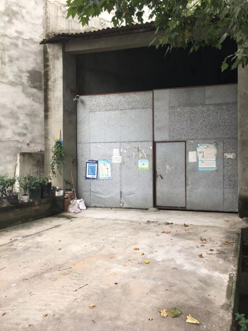 1000平方，帶動力電，公路旁