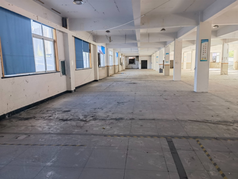 時代高架下.235國道旁框架結構廠房出租