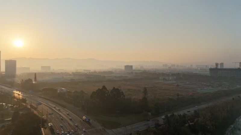 成都經開區 1000㎡標準廠房出售 獨門獨院戶型獨立產權 臨地鐵高鐵
