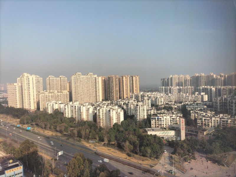 成都經開區 1000㎡標準廠房出售 獨門獨院戶型獨立產權 臨地鐵高鐵