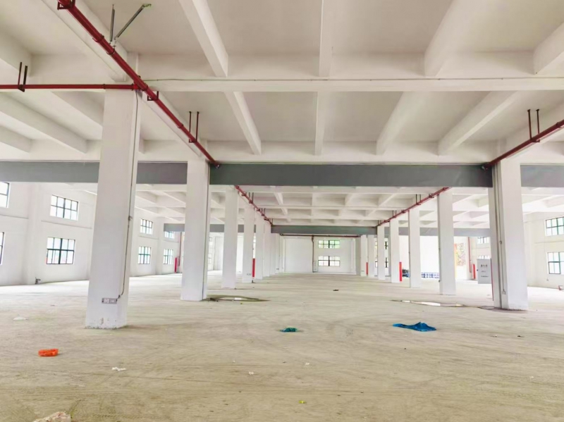 【鶴山優質工業廠房招租】珠三角樞紐·分層高標空間·靈活租賃·適配多行業