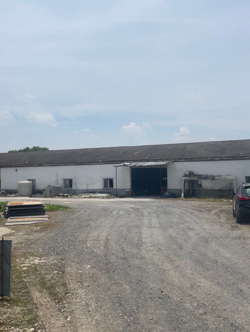 南昌南昌縣 八一鄉(xiāng)蓮謝路2000㎡ 廠房租售層高8米 跨度50米 柱距25米 獨院 可環(huán)評 可分租