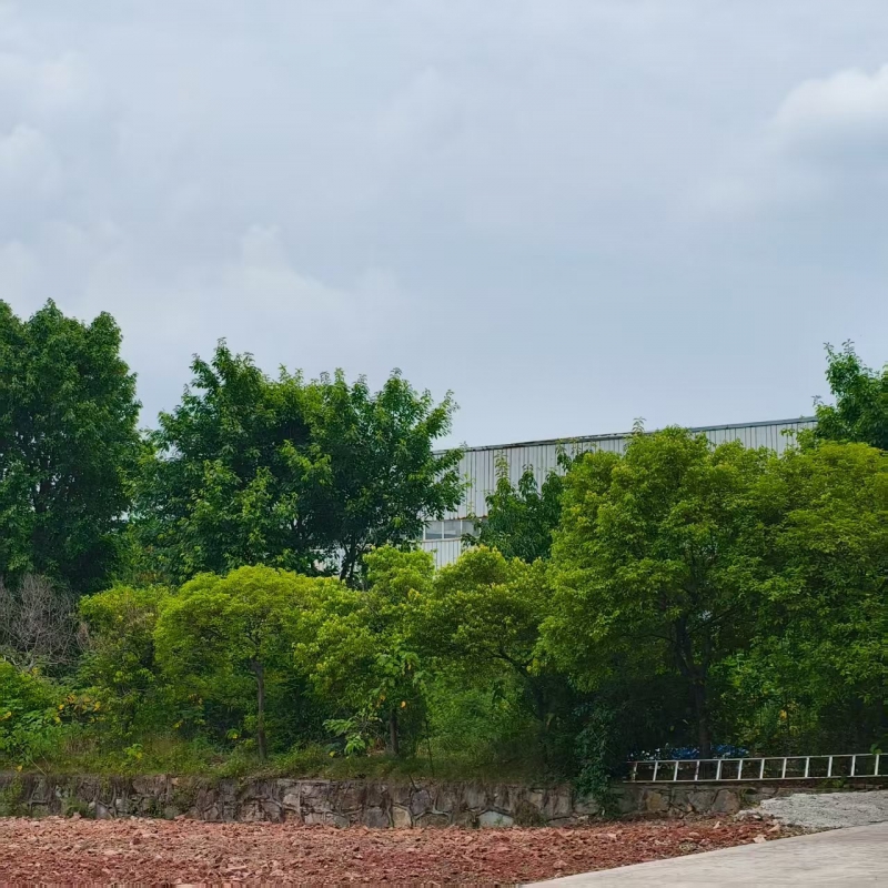 前鋒區(qū)工業(yè)廠房，總面積17818㎡，證件齊全，獨(dú)立產(chǎn)權(quán)